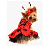 Ladybug Dress